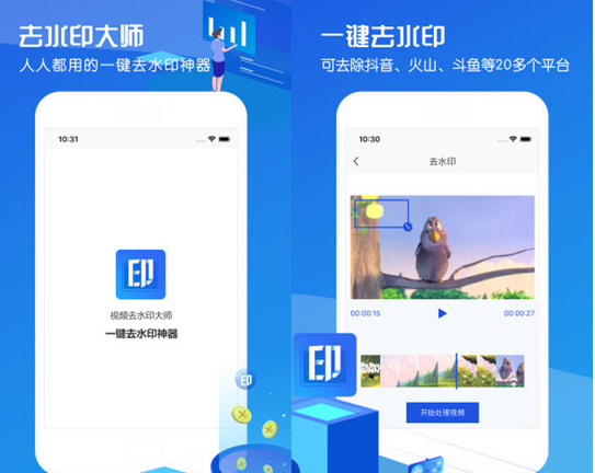 视频去水印大师免费版
