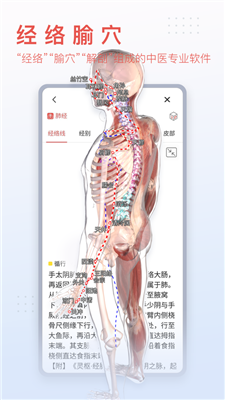 3dbody解剖软件6.0安卓版