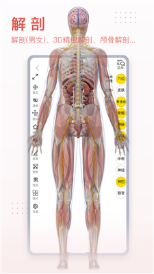 三dbody系统解剖图手机
