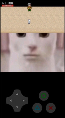 猫猫惊魂下载手机中文版
