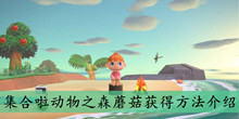 集合啦动物之森蘑菇获得方法介绍