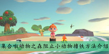 集合啦动物之森阻止小动物撸铁方法介绍