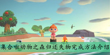 《集合啦动物之森》归还失物完成方法介绍