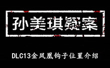《孙美琪疑案DLC13金凤凰》钩子位置介绍