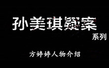 《孙美琪疑案》系列方婷婷人物介绍