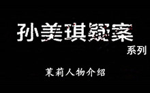 《孙美琪疑案》系列茉莉人物介绍