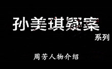 《孙美琪疑案》系列周芳人物介绍
