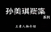 《孙美琪疑案》系列王素人物介绍