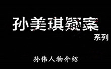 《孙美琪疑案》系列孙伟人物介绍