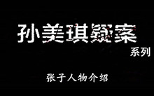 《孙美琪疑案》系列张子人物介绍
