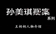 《孙美琪疑案》系列王奶奶人物介绍