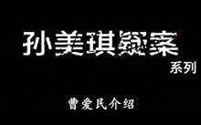 《孙美琪疑案》系列曹爱民介绍