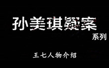 《孙美琪疑案》系列王七人物介绍