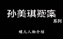 《孙美琪疑案》系列蝶儿人物介绍