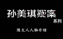 《孙美琪疑案》系列陈大人人物介绍