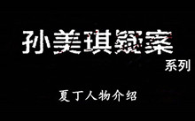 《孙美琪疑案》系列夏丁人物介绍