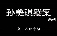 《孙美琪疑案》系列金三人物介绍