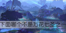 下面哪个不是万花七圣之一答案