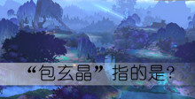 包玄晶指的是答案