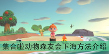 《集合啦动物森友会》下海方法介绍