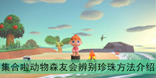 《集合啦动物森友会》辨别珍珠方法介绍