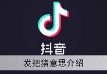 《抖音》发把猪意思介绍