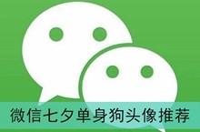 《微信》七夕单身狗头像推荐