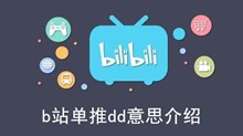 《b站》单推dd意思介绍