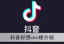 《抖音》好想ckn梗介绍