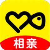 伊对相亲交友下载