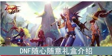 《DNF》随心随意礼盒介绍