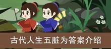 《古代人生》五脏为答案介绍