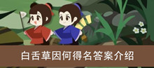 《古代人生》白舌草因何得名答案介绍