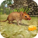 疯狂老鼠王中文版