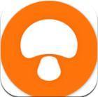 蘑菇漫画app网页最新版