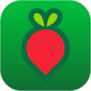 下载叮咚买菜网