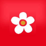 布米米动漫手机版