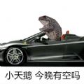 小天鹅我馋你了癞蛤蟆表情包