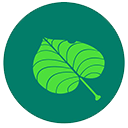 叶子视界_1.4.0_sign.apk