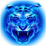 四虎影视app定制