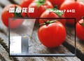 win7家庭普通版我的电脑