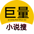 巨量小说搜免费下载