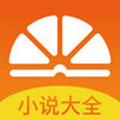 柠檬小说下载