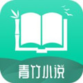 青竹小说下载