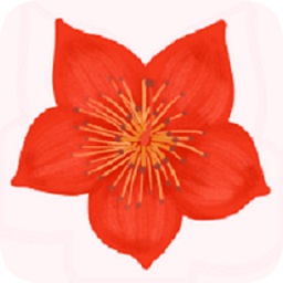 爱我崇左app指南