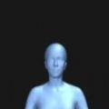bodyvisualizer模拟器网页