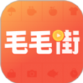 毛毛街app手机版下载安装最新版