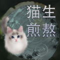 猫生煎熬下载免费版
