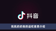 《抖音》凯凯奶奶我的逗哎意思介绍