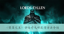 《堕落之主》苦治疗光辉获得方法介绍
